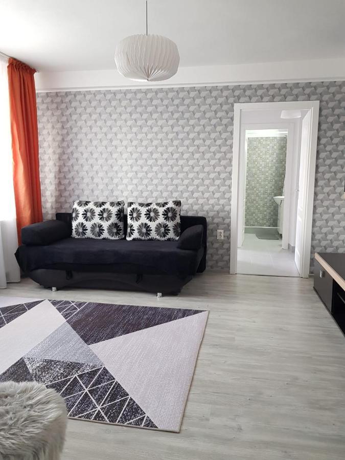 Ana Apartament Râmnicu Vâlcea 외부 사진