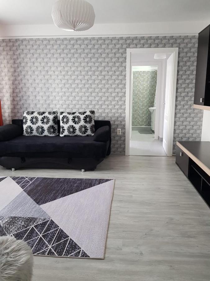 Ana Apartament Râmnicu Vâlcea 외부 사진