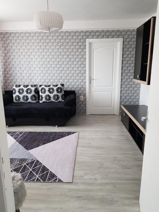 Ana Apartament Râmnicu Vâlcea 외부 사진
