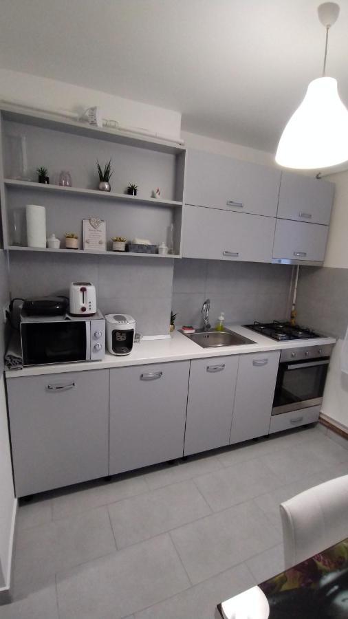 Ana Apartament Râmnicu Vâlcea 외부 사진